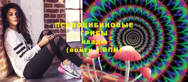 прущая мука Осинники