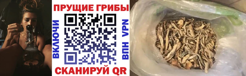 Псилоцибиновые грибы Magic Shrooms  хочу наркоту  Сочи 