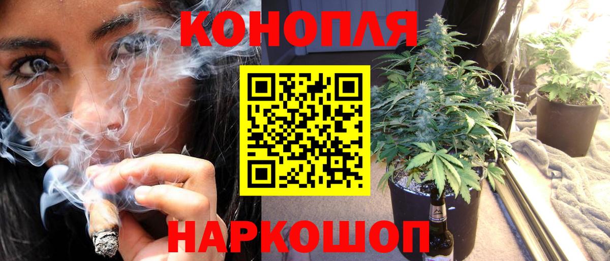 Бошки Шишки план Сочи